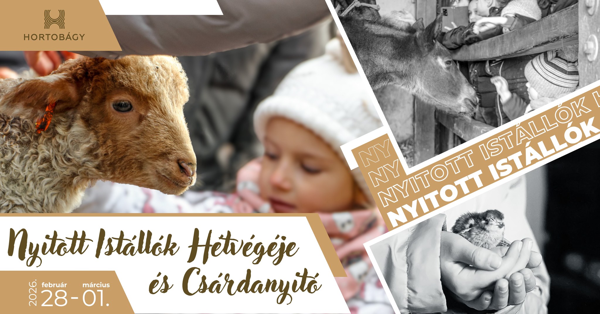 619183191_1412633304226276_755454818780790245_n