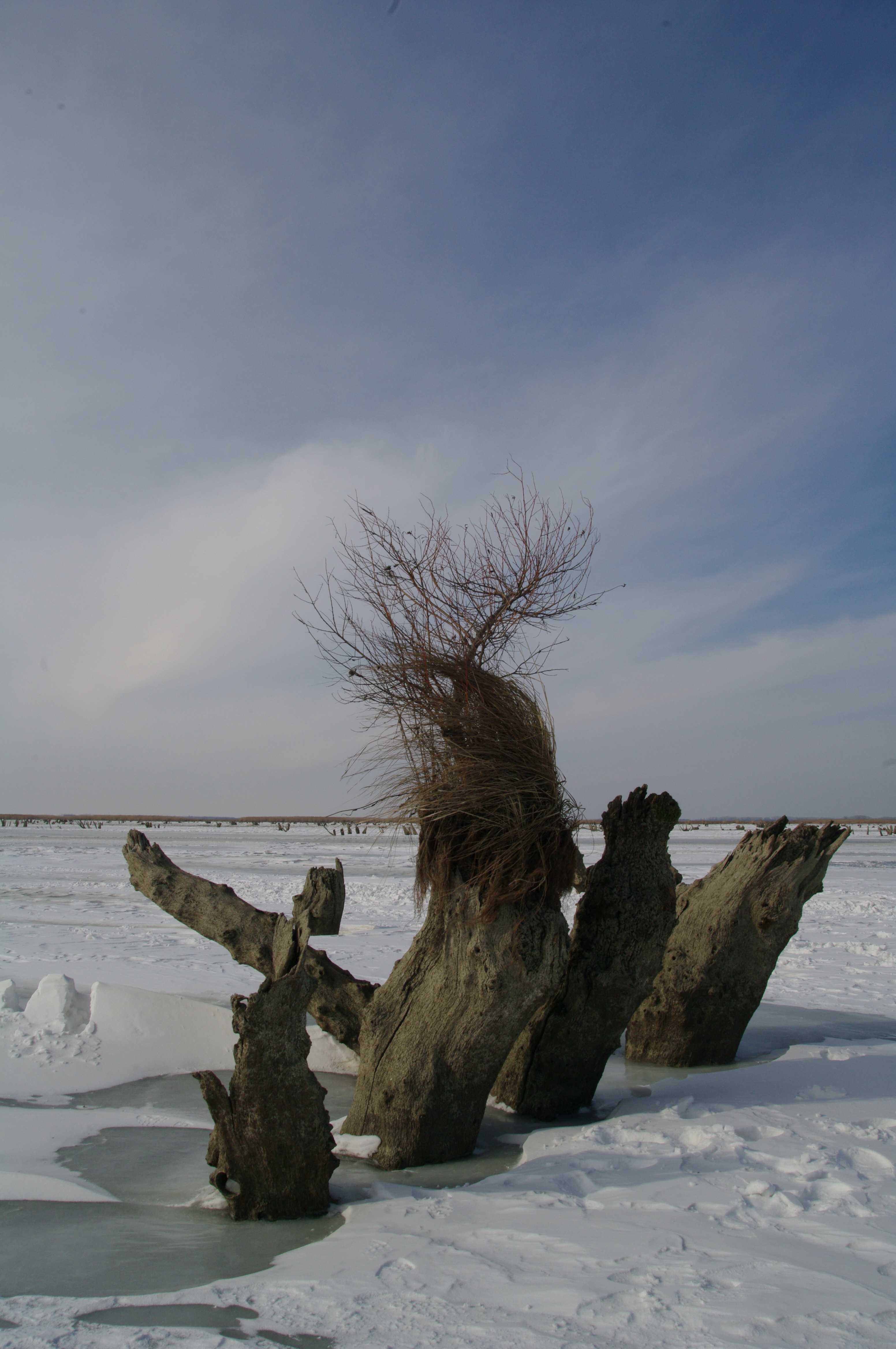 tisza_to_telen2_tiszafured_12_02_11_pentaxk20dop_olajospeter