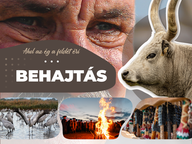 2026_behajtas_visithortobagy_321x241