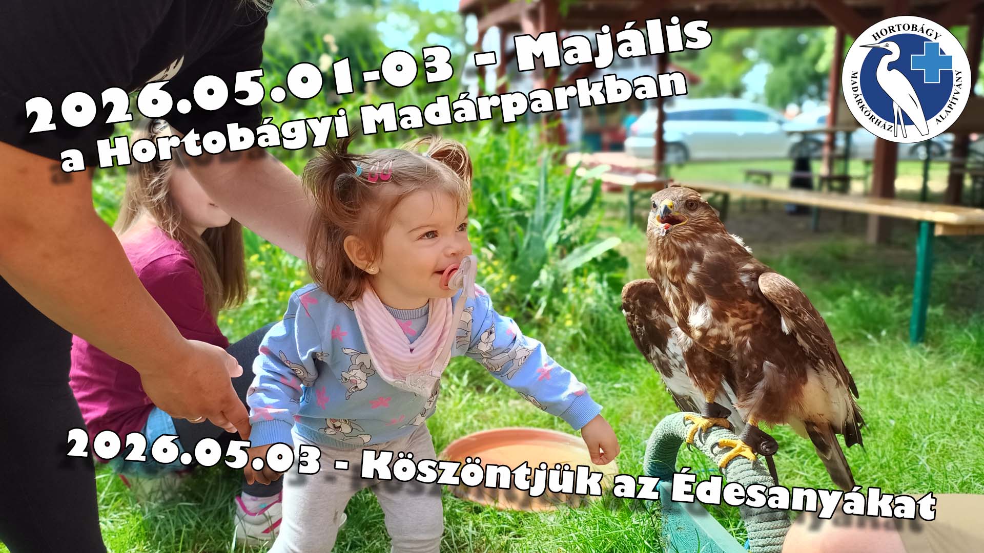 majalis_madarkorhaz_2026