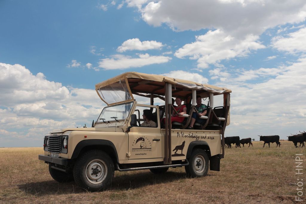 naplemente_szafari